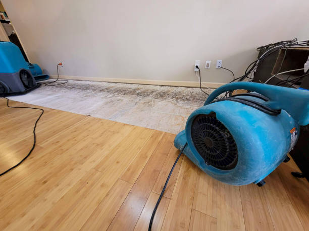 Reliable Basement Flood Cleanup contractor in Saline, MI by Hirex Water Damage