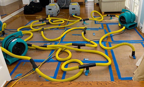 Professional Basement Flood Cleanup technician working in Saline, MI