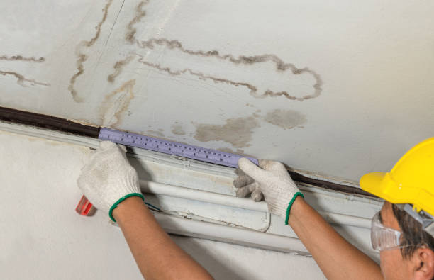Affordable Water Damage Repair solutions in Saline, MI